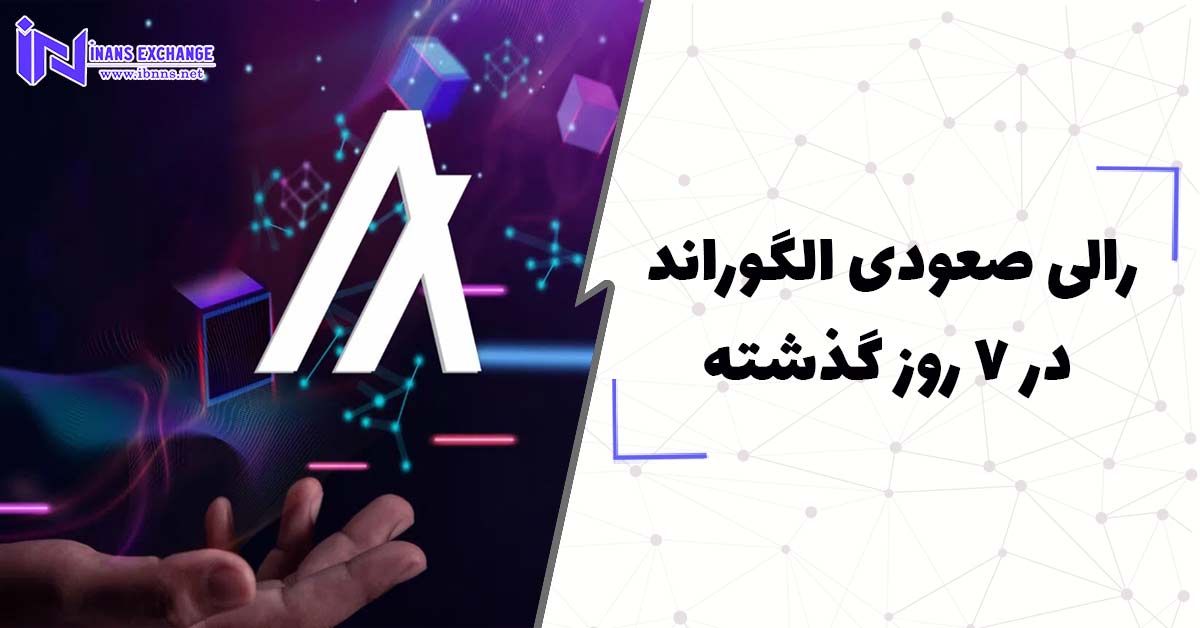  رالی صعودی الگوراند در 7 روز گذشته