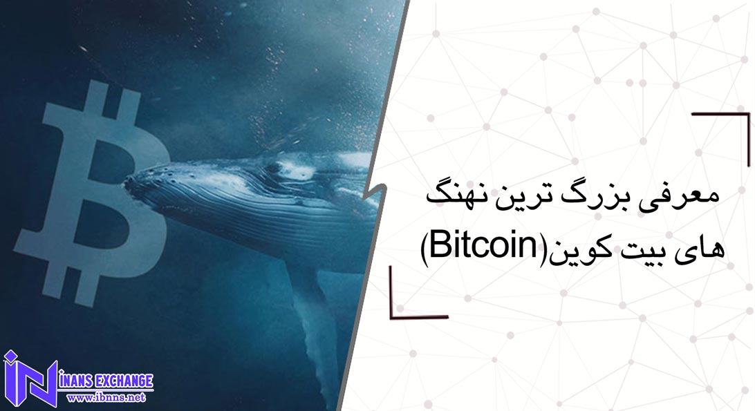 معرفی بزرگ ترین نهنگ های بیت کوین(Bitcoin)