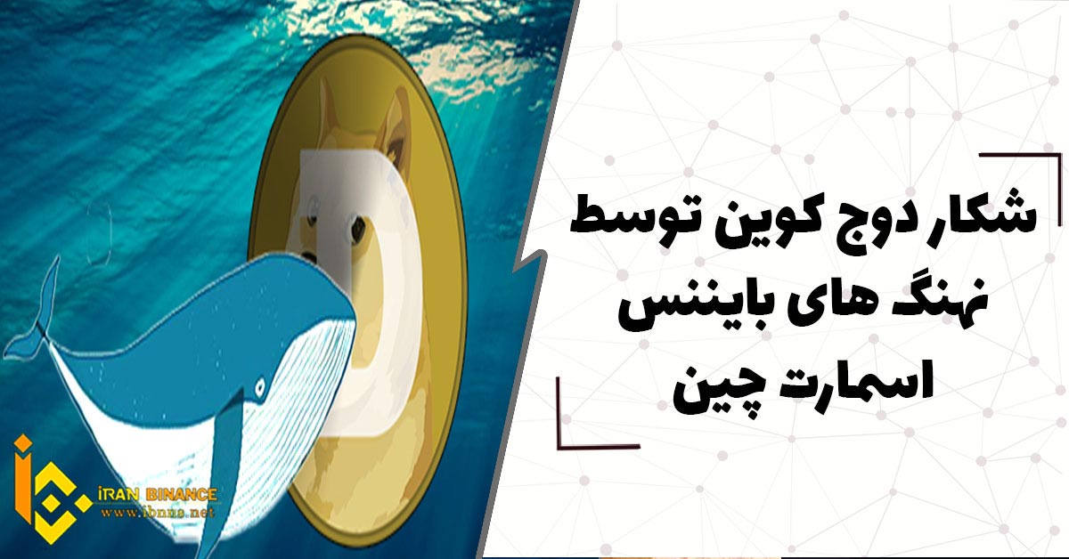 شکار دوج کوین توسط نهنگ های بایننس اسمارت چین