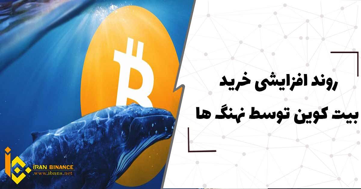  روند افزایشی خرید بیت کوین توسط نهنگ ها