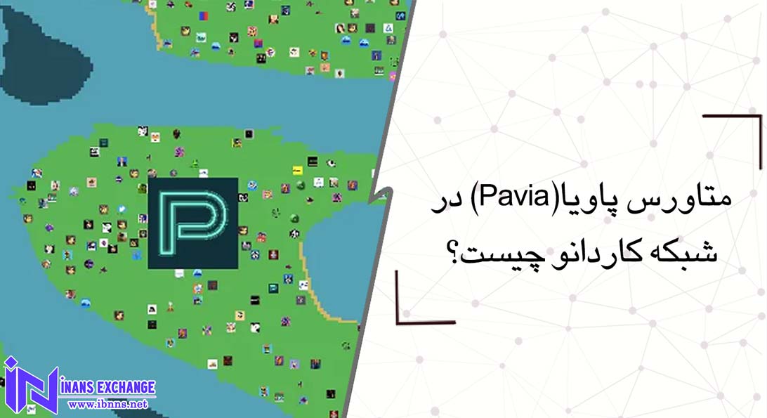 متاورس پاویا(Pavia) در شبکه کاردانو چیست؟