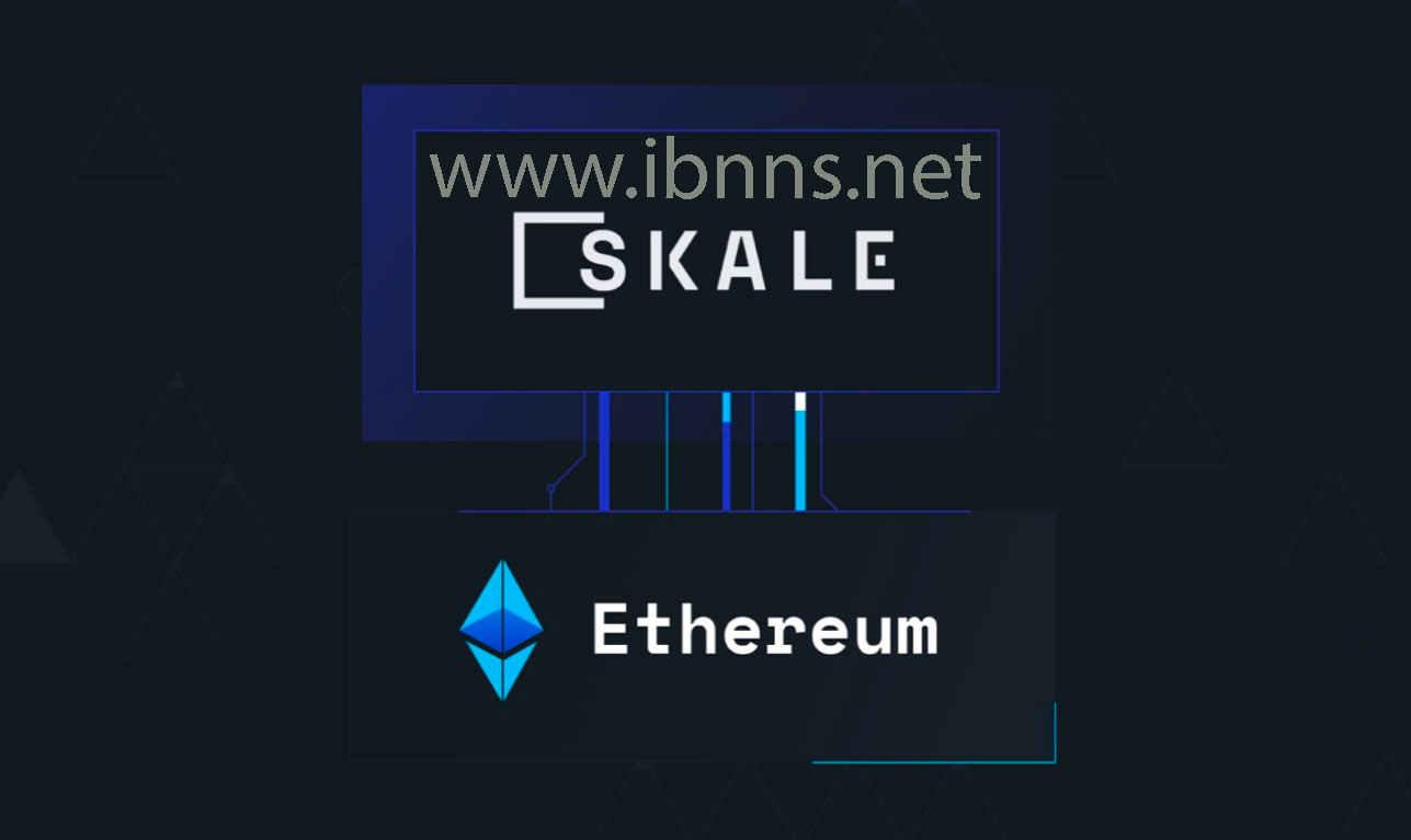 خرید اسکیل نتورک ارزان، فروش اسکیل نتورک SKL، قیمت اسکیل نتورک